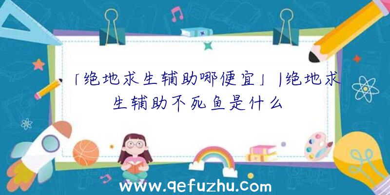 「绝地求生辅助哪便宜」|绝地求生辅助不死鱼是什么